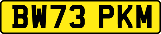 BW73PKM