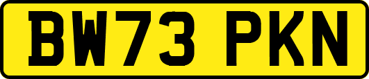 BW73PKN
