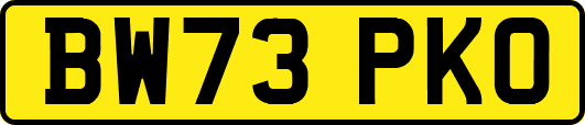 BW73PKO