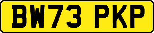 BW73PKP