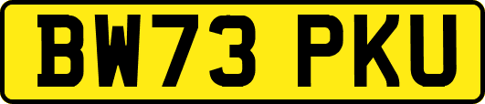 BW73PKU