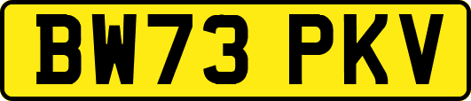 BW73PKV