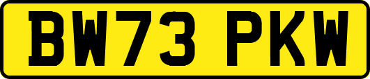 BW73PKW
