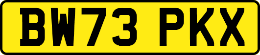 BW73PKX