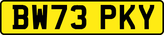 BW73PKY