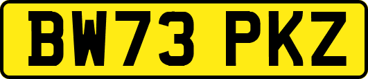 BW73PKZ