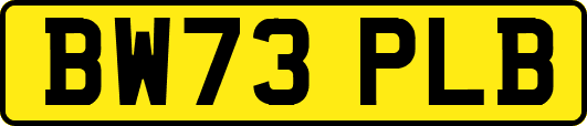BW73PLB