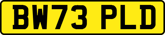 BW73PLD