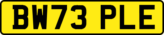BW73PLE