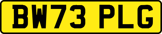 BW73PLG