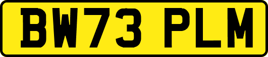 BW73PLM