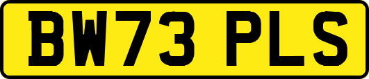 BW73PLS