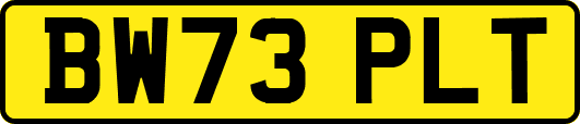 BW73PLT