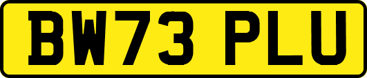 BW73PLU