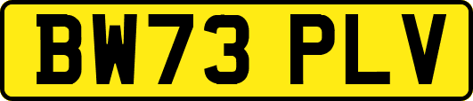 BW73PLV