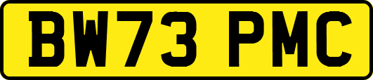 BW73PMC