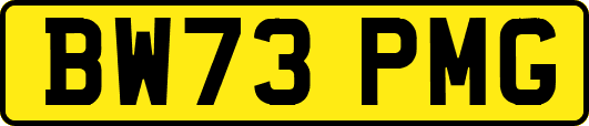 BW73PMG