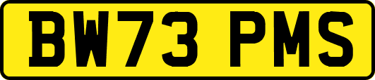 BW73PMS
