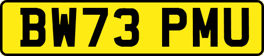 BW73PMU