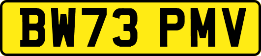 BW73PMV