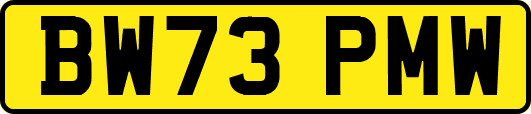 BW73PMW