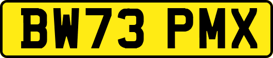 BW73PMX
