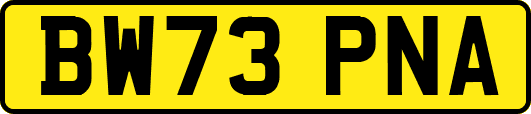 BW73PNA