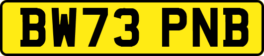 BW73PNB