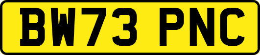 BW73PNC