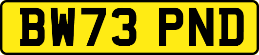 BW73PND