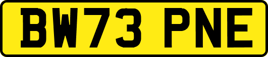 BW73PNE