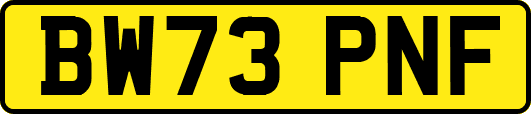 BW73PNF