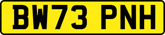 BW73PNH