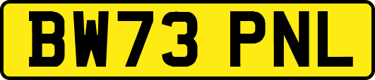 BW73PNL