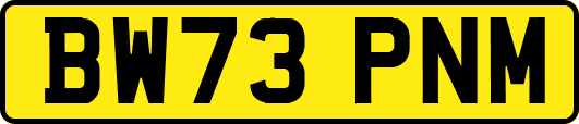 BW73PNM