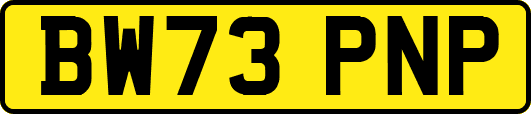 BW73PNP