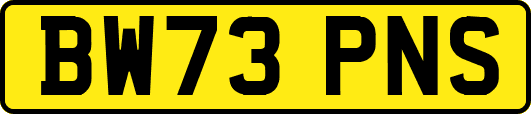 BW73PNS