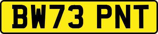 BW73PNT