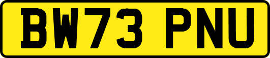 BW73PNU