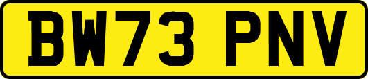 BW73PNV