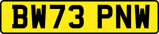 BW73PNW