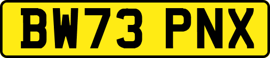BW73PNX