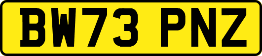 BW73PNZ