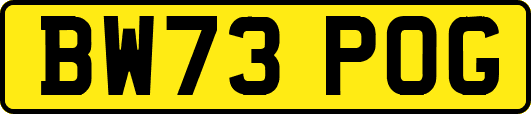BW73POG