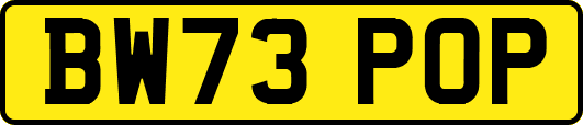 BW73POP
