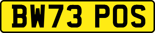 BW73POS
