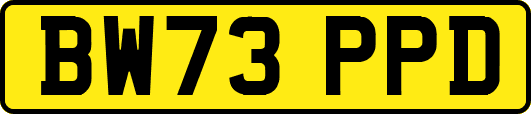 BW73PPD