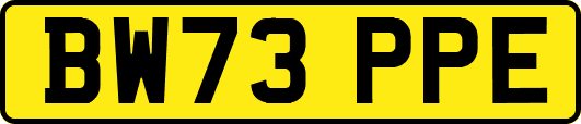 BW73PPE