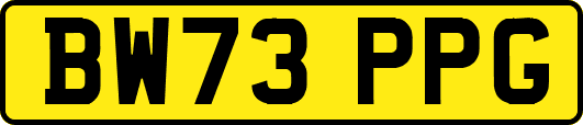 BW73PPG