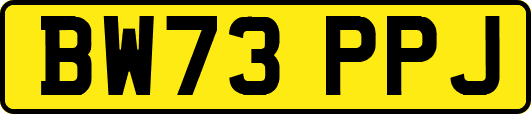 BW73PPJ